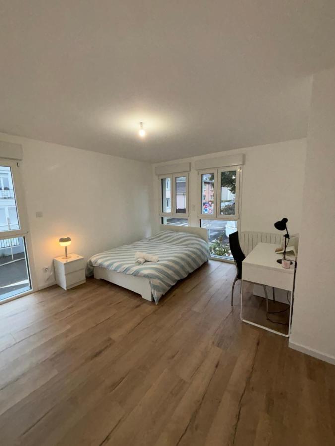 Appartement + Parking + Terrasse Мюлуз Екстер'єр фото