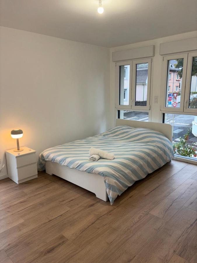 Appartement + Parking + Terrasse Мюлуз Екстер'єр фото
